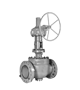 Special Valve
